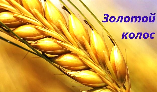 Подведены итоги VII Международного молодежного конкурса рекламы «ЗОЛОТОЙ КОЛОС»